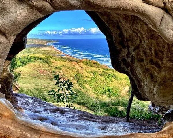 barbados island tour