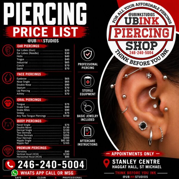 ubinkstudio piercing price ist